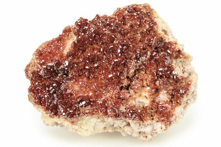 Glittering, Ruby Red Vanadinite Crystals on Barite - Morocco #278242